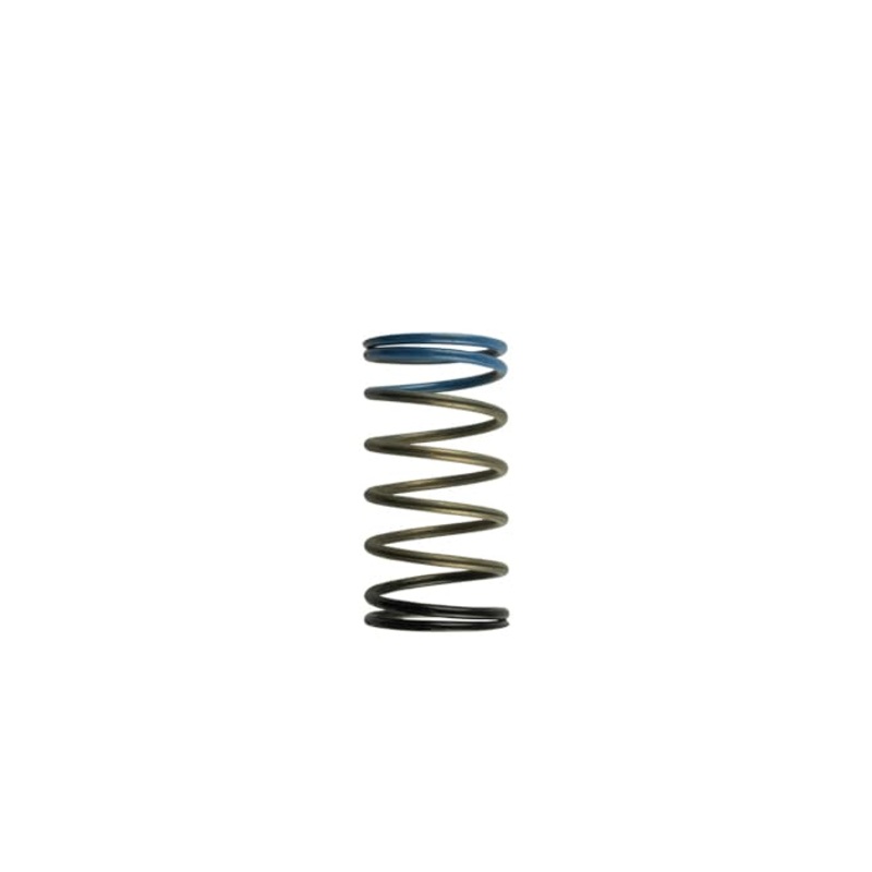 Turbosmart Wastegate Spring TS-0502-2004