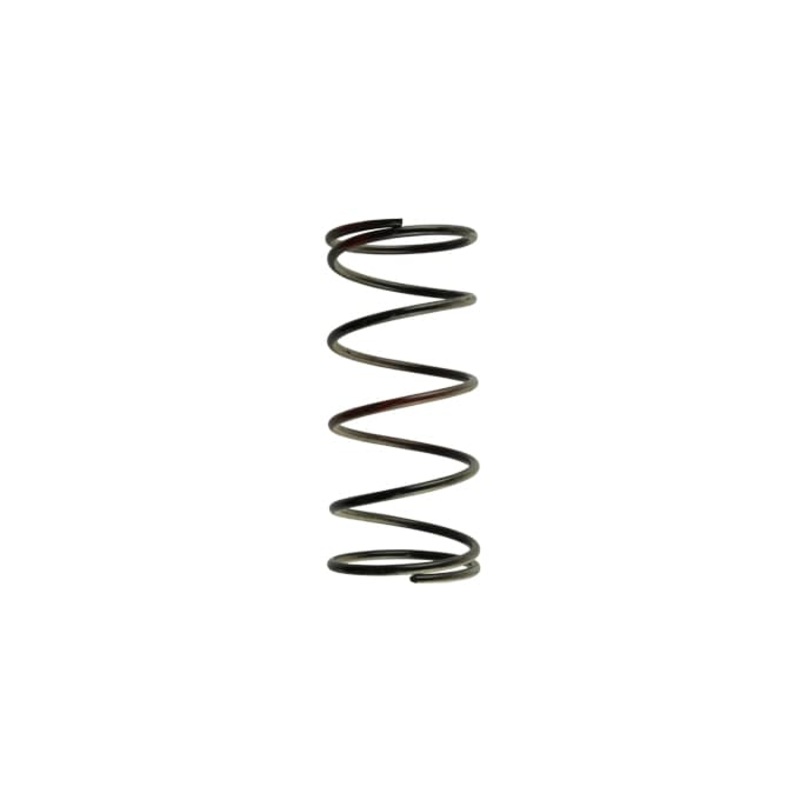 Turbosmart Wastegate Spring TS-0502-2006