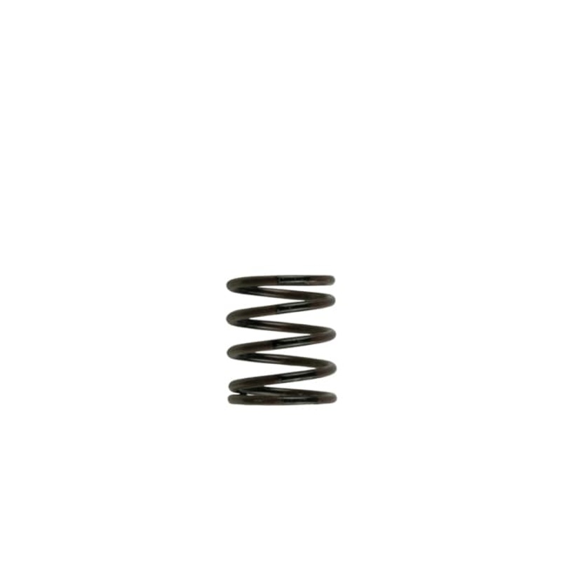 Turbosmart Wastegate Spring TS-0505-2001