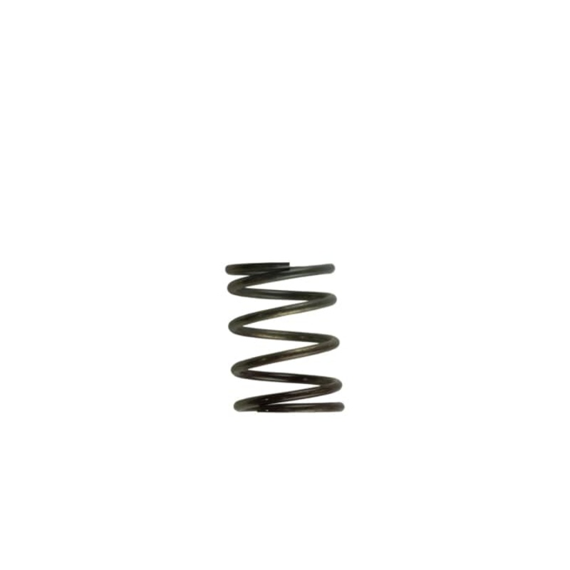 Turbosmart Wastegate Spring TS-0505-2002