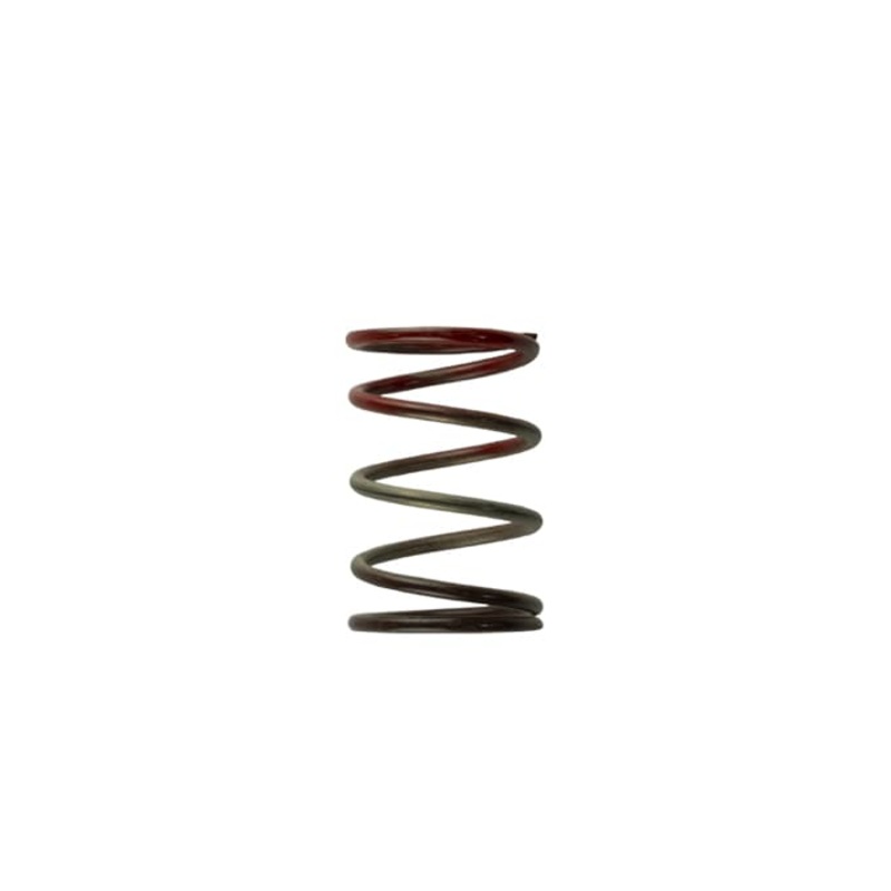 Turbosmart Wastegate Spring TS-0505-2004
