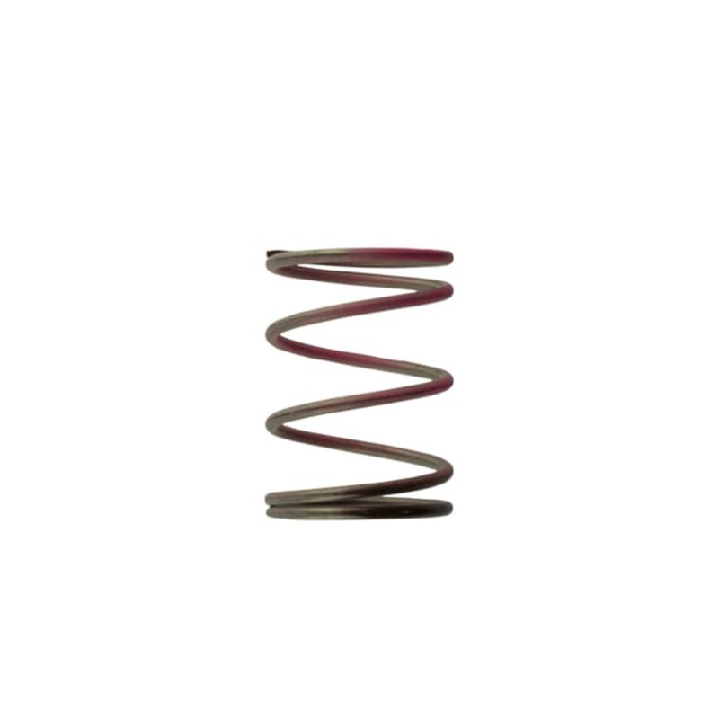 Turbosmart Wastegate Spring TS-0505-2006